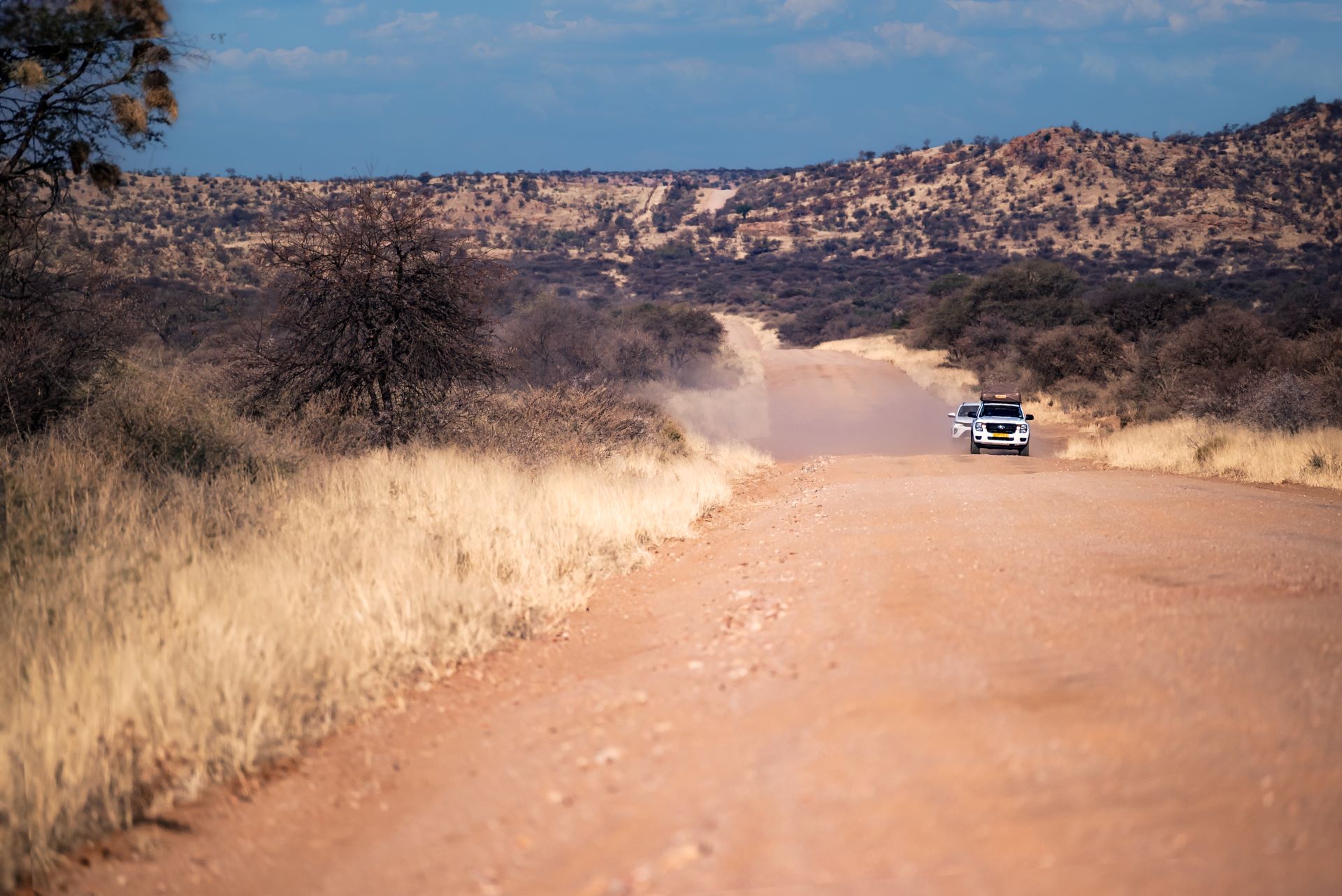 Car hire